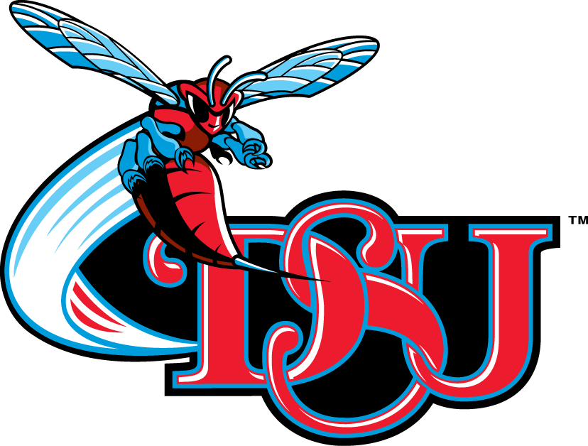 Delaware State Hornets 2004-Pres Alternate Logo v4 diy DTF decal sticker